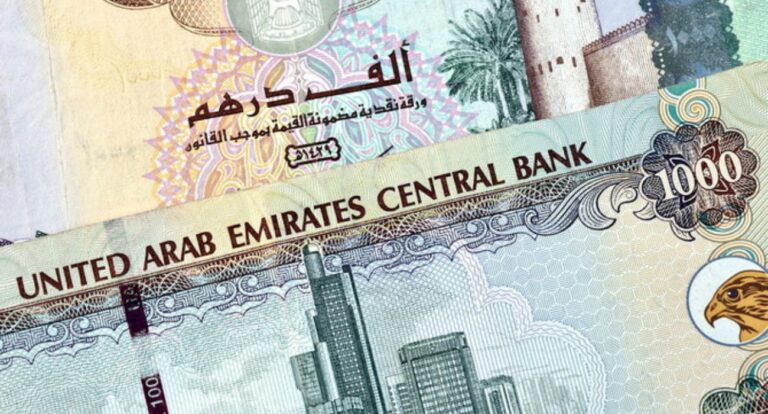 Increasing interest rates fail to dampen loan demand: UAE Central Bank survey