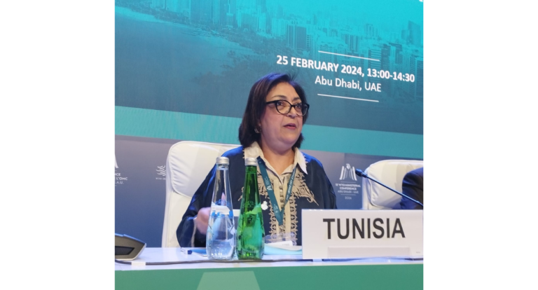 Tunisian Minister of Trade stresses need for more just, inclusive multilateral trading system