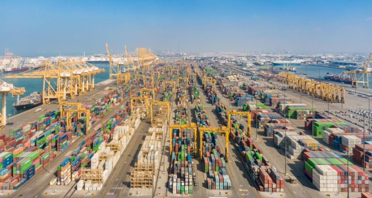 Dubai Trade surpasses 300 million transactions