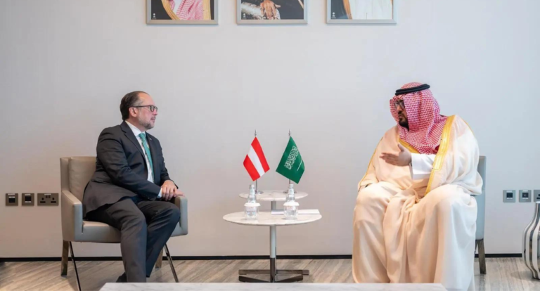 Minister of Economy and Planning Discusses Cooperation with Austrian Foreign Minister