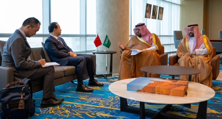 Minister of Economy and Planning Meets with Director of the Development Research Center of State Council of China