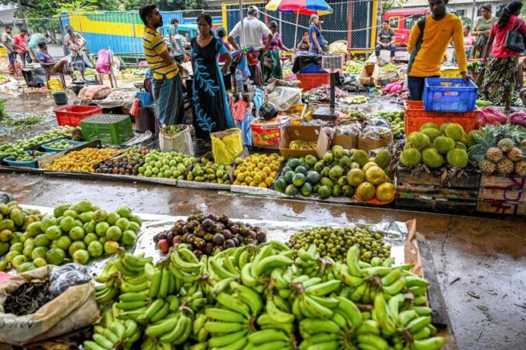 Sri Lanka to save $5 billion from bilateral debt deal