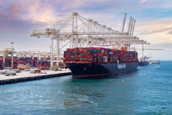 A view of Jebel Ali port in Dubai. — File photo