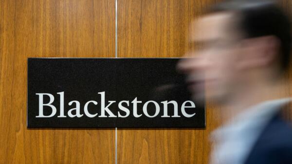 Blackstone considers selling majority stake in visa firm VFS Global