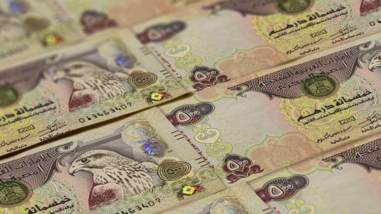 United Arab Emirates Dirham banknotes background. UAE Dirhams pattern. 500 dirhams