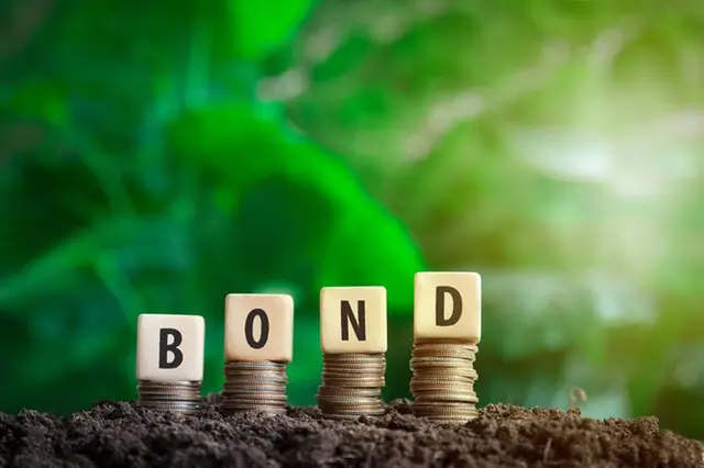 Middle East recorded 16.7bln in sustainable bond issuances in Jan-Sep 2024- S&P Global Ratings