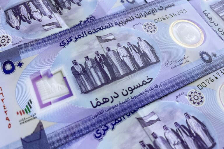 UAE, Saudi Arabia forecasted for strong credit growth in 2025: Report