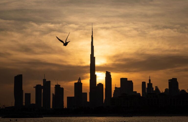 UAE economy expected to stay resilient next year