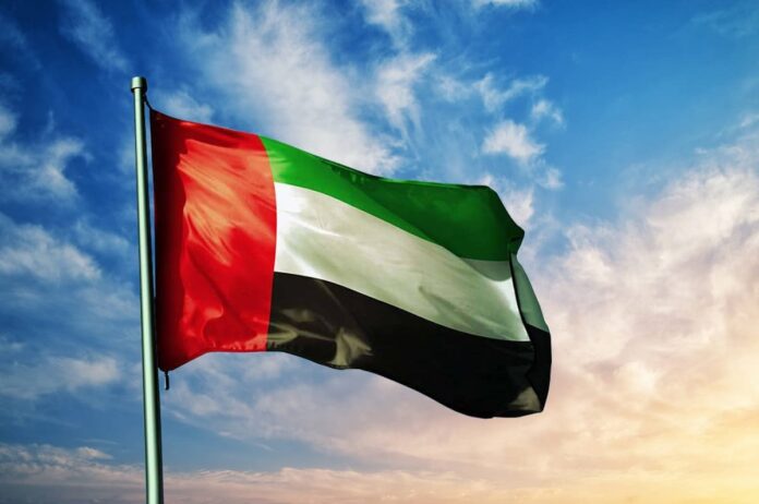 UAE net wealth hit $2.9tn last year