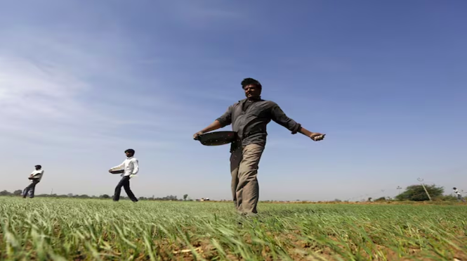 Cabinet approves additional subsidy of Rs 3,850 crore for DAP to maintain retail prices