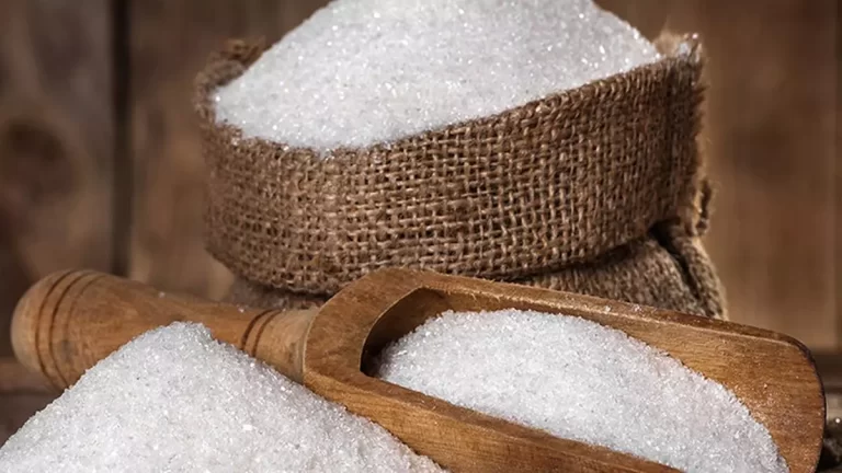 Nirani Sugars to establish ₹2,000 crore polylactic acid manufacturing facility in Bagalkot